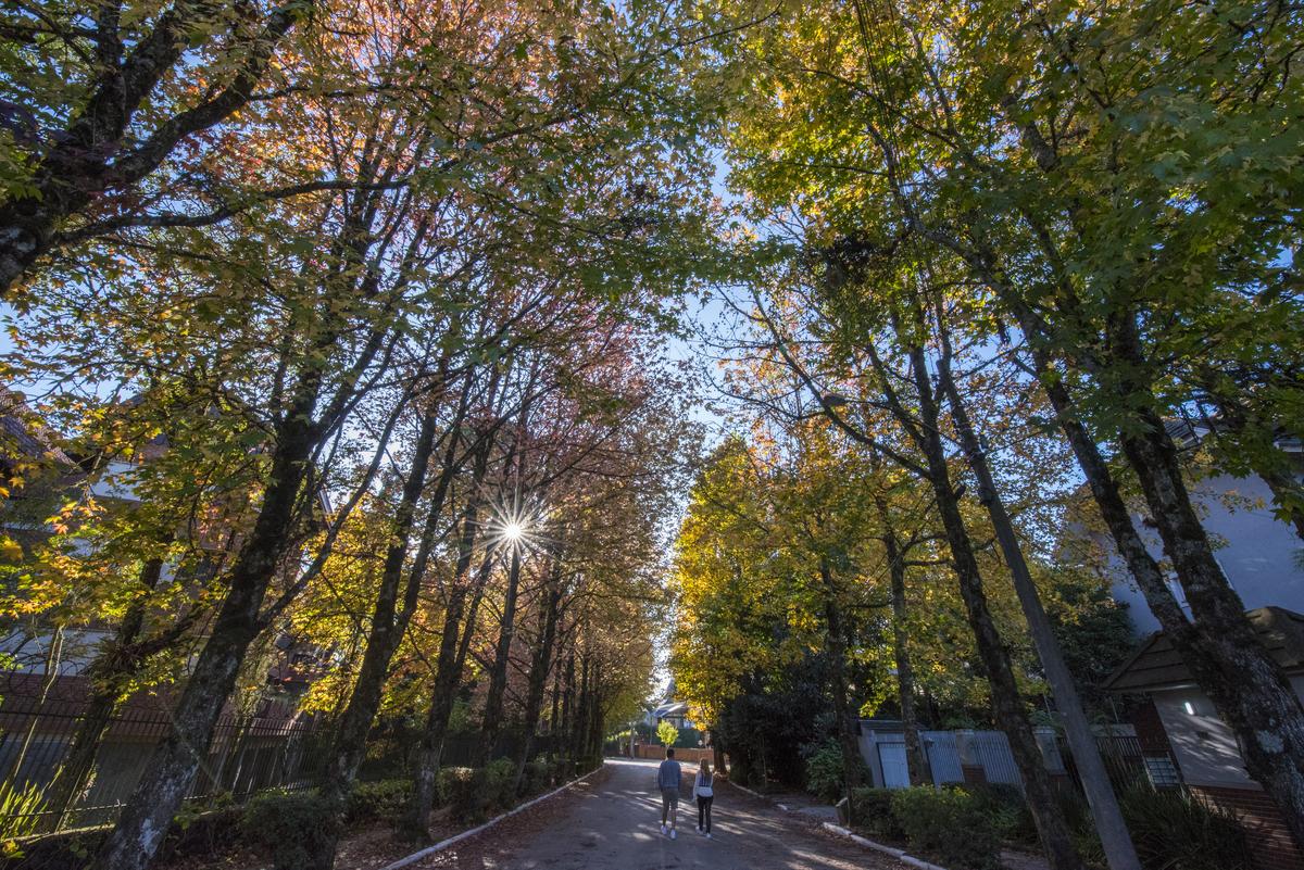 Imagem aérea mostrando bairros valorizados de Gramado com destaque para áreas residenciais luxuosas e ruas arborizadas, ilustrando as melhores opções de imóveis em Gramado para morar ou investir.
